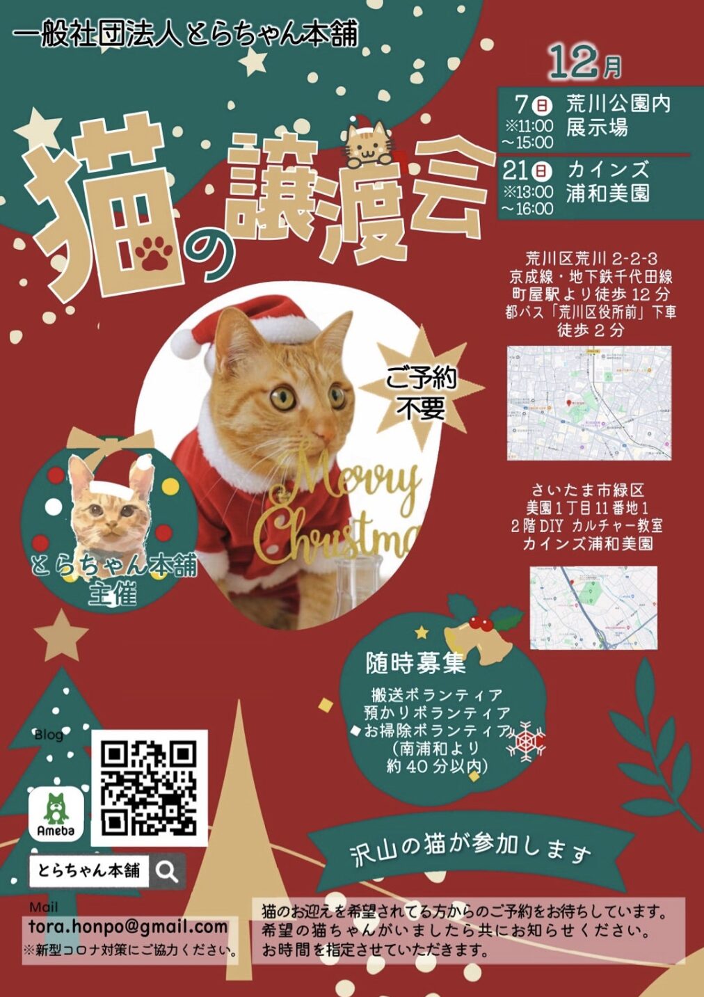 どらにゃんページ Amazon.co.jp: 茶トラのやっちゃんとちーちゃん : 類: Japanese Books